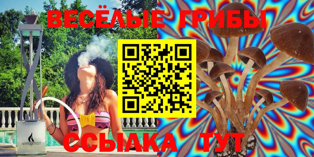 Псилоцибиновые грибы Cubensis Киселёвск